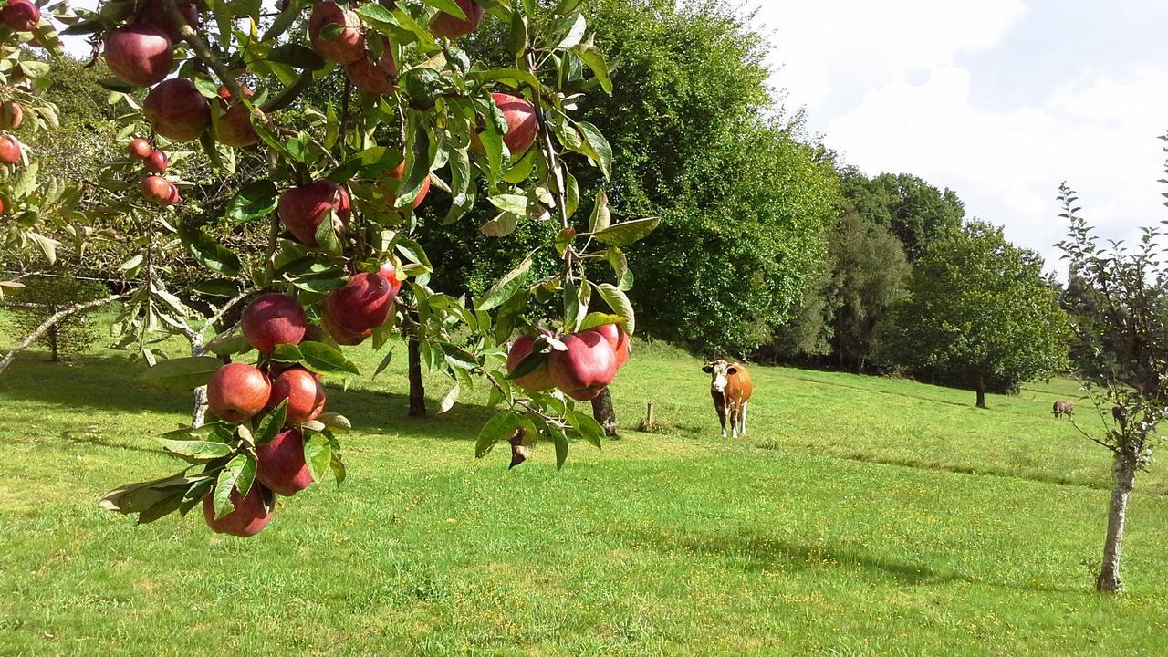 Casa Rural Grana Da Acea Monfero Eksteriør billede
