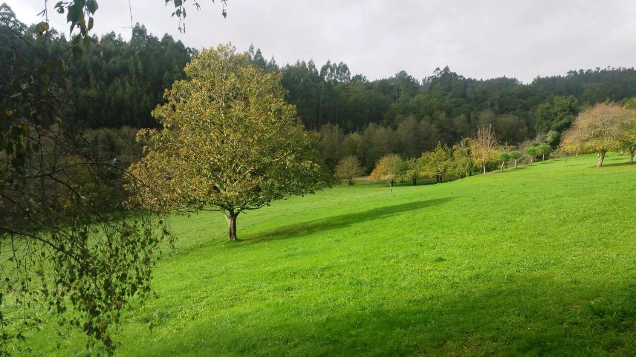 Casa Rural Grana Da Acea Monfero Eksteriør billede